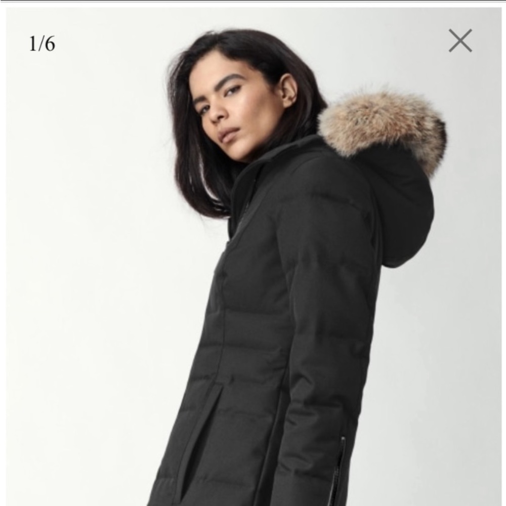 Canada Goose Pembina Parka (Black Label)